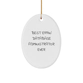 Funny Database Administrator Gifts from Men to Friends - Best Effin' Oval Ornament for Christmas - Image 1